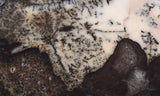 Burro Creek Agate Rock Slab 88