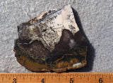 Burro Creek Agate Rock Slab 88