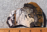 Burro Creek Agate Rock Slab 70