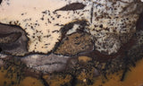 Burro Creek Agate Rock Slab 70