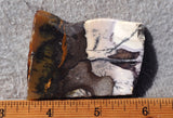 Burro Creek Agate Rock Slab 86