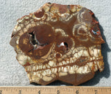 Spiderweb Jasper Slab 75