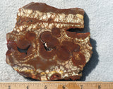 Spiderweb Jasper Slab 76