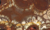 Spiderweb Jasper Slab 76
