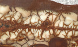 Spiderweb Jasper Slab 76