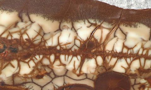 Spiderweb Jasper Slab 76