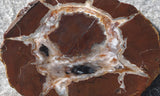 Bargain Bin E Slab 192