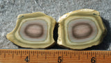 Rock Slab Sets S173