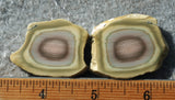 Rock Slab Sets S173