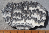 Zebra Onyx Slab 356