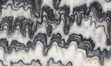 Zebra Onyx Slab 356