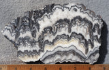 Zebra Onyx Slab 354