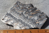 Zebra Onyx Slab 363
