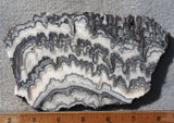 Zebra Onyx Slab 355
