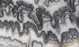 Zebra Onyx Slab 355
