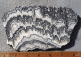 Zebra Onyx Slab 355