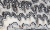 Zebra Onyx Slab 379