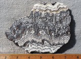 Zebra Onyx Slab 358