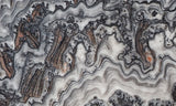 Zebra Onyx Slab 358
