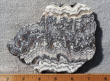 Zebra Onyx Slab 358