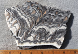 Zebra Onyx Slab 357