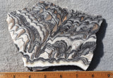 Zebra Onyx Slab 357