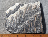Zebra Onyx Slab 362