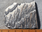 Zebra Onyx Slab 362
