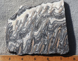 Zebra Onyx Slab 384