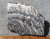 Zebra Onyx Slab 364