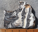 Zebra Onyx Slab 394