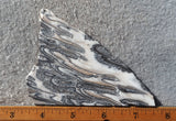 Zebra Onyx Slab 369