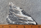 Zebra Onyx Slab 369
