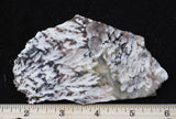 Snowflake Laguna Slab 465
