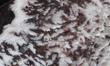 Snowflake Laguna Slab 464