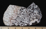 Snowflake Laguna Slab 467