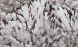 Snowflake Laguna Slab 461