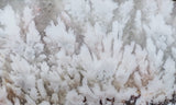 Snowflake Laguna Slab 470