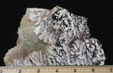 Bargain Bin F Slab 214
