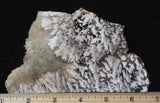 Bargain Bin F Slab 214