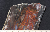 Mexican Flame Agate Rock Slab 48