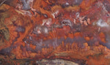 Mexican Flame Agate Rock Slab 48