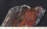 Mexican Flame Agate Rock Slab 49