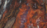 Mexican Flame Agate Rock Slab 49