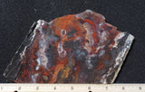 Mexican Flame Agate Rock Slab 50