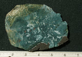 Hava Ridge Jasper Slab 474