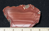 Imperial Jasper Slab 499