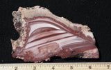 Imperial Jasper Slab 464