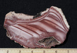 Imperial Jasper Slab 457