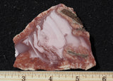 Imperial Jasper Slab 468